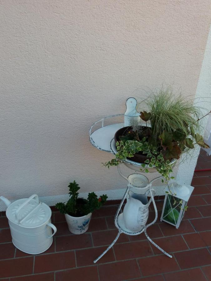 Wohnung mit Charme in Pinsdorf Exterior foto